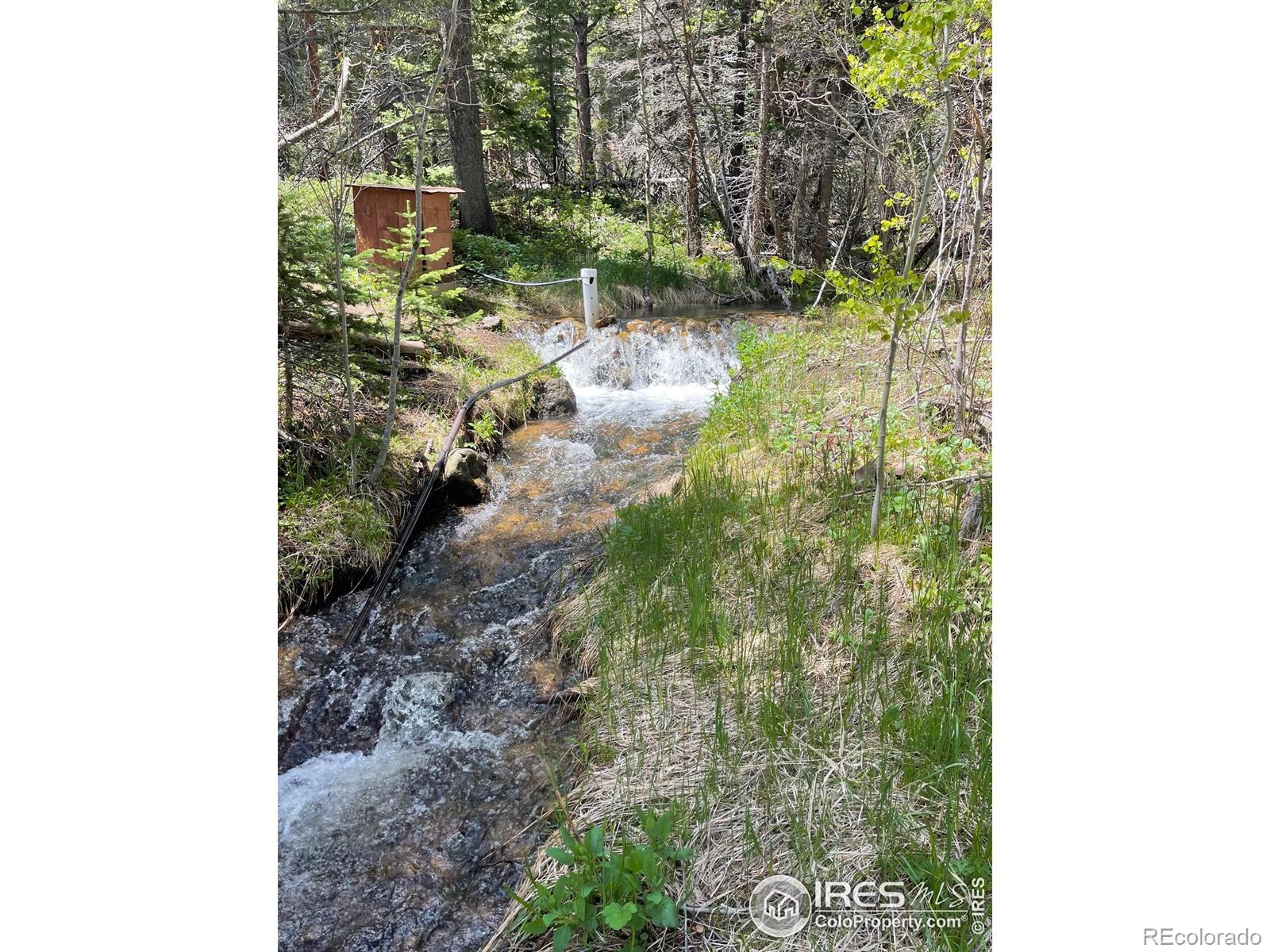MLS Image #6 for 503  county rd 113n road,allenspark, Colorado