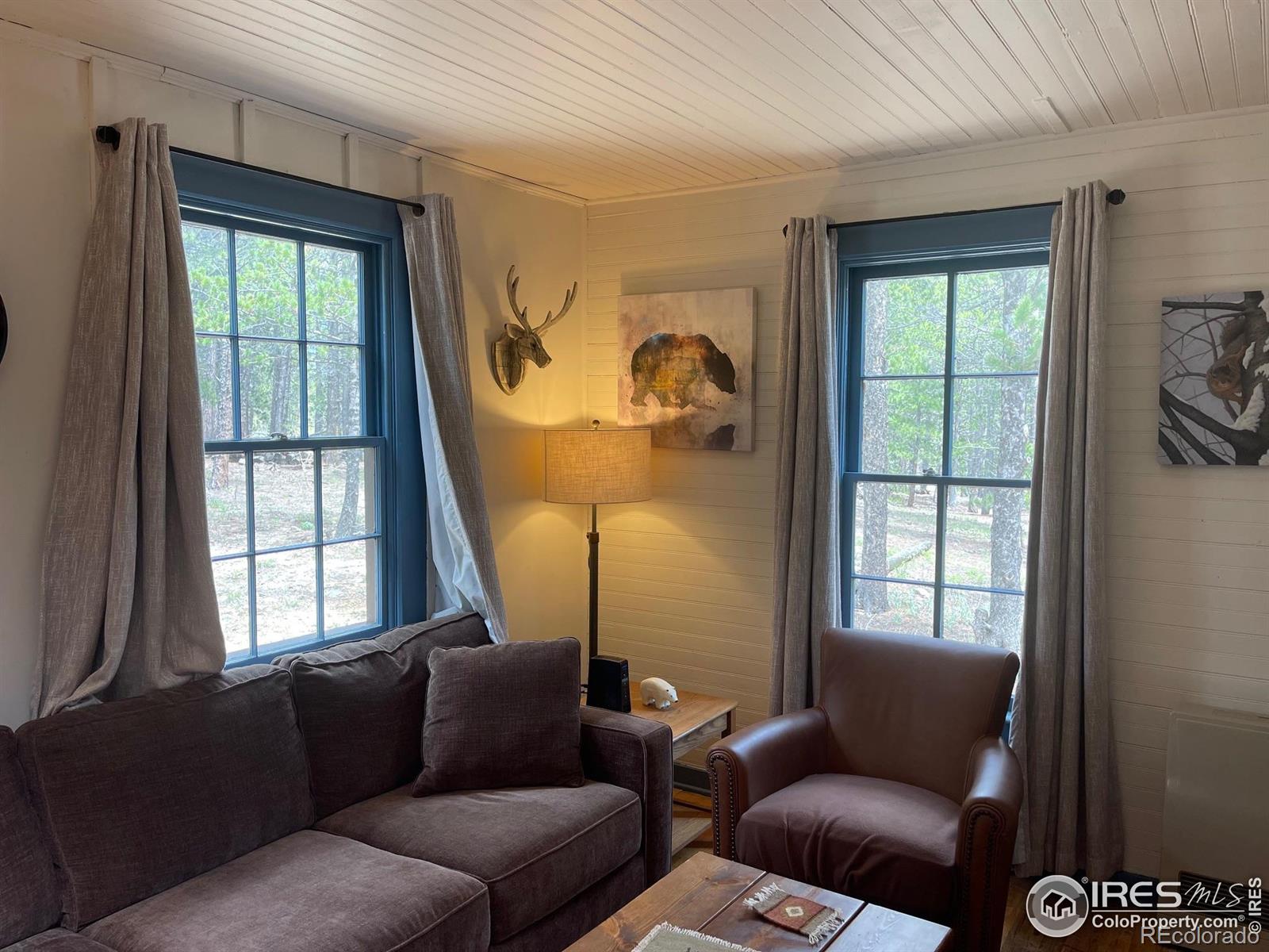 MLS Image #8 for 503  county rd 113n road,allenspark, Colorado