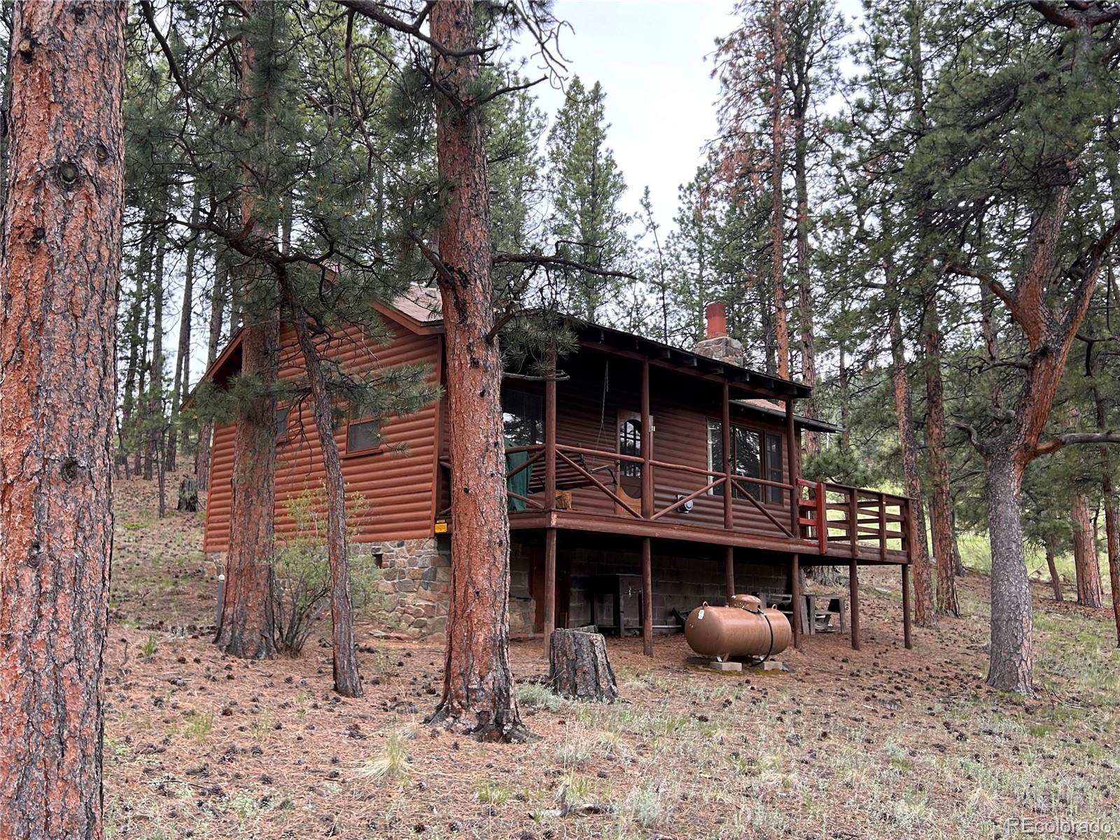 MLS Image #21 for 861  happy top trail,bailey, Colorado