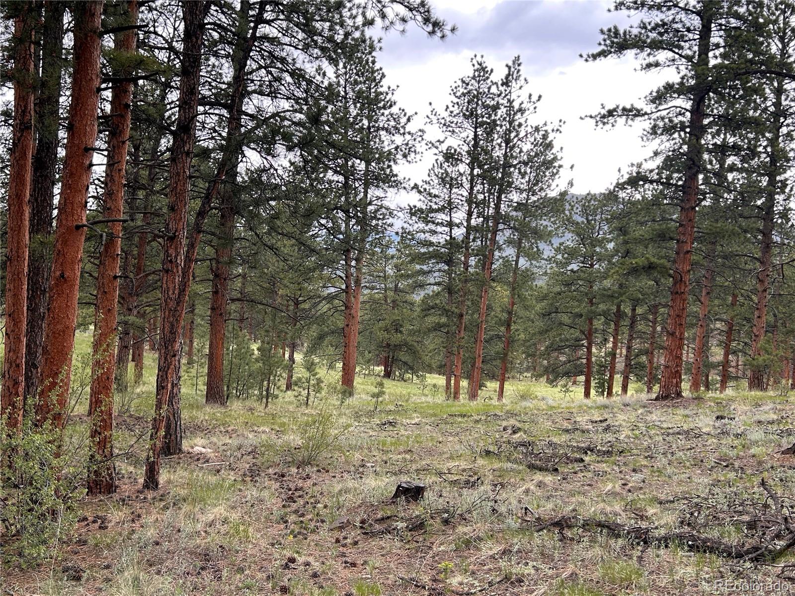 MLS Image #22 for 861  happy top trail,bailey, Colorado