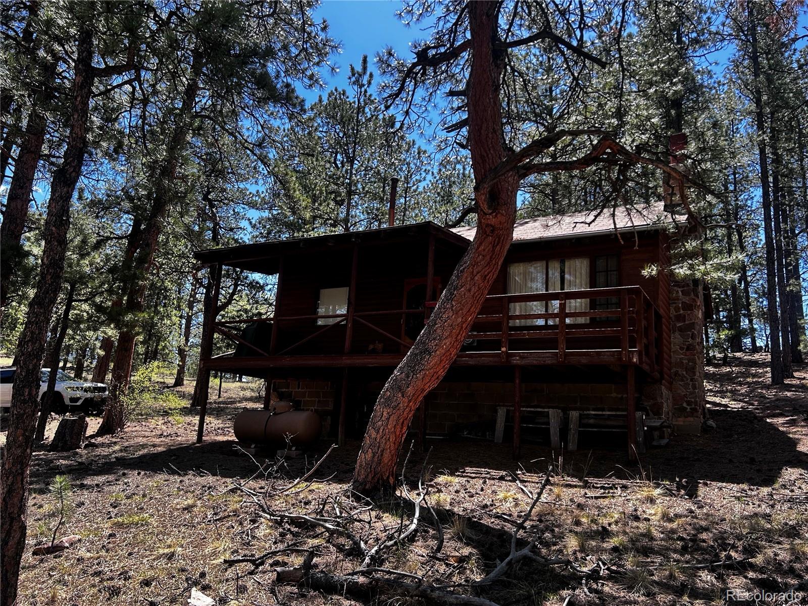 MLS Image #6 for 861  happy top trail,bailey, Colorado