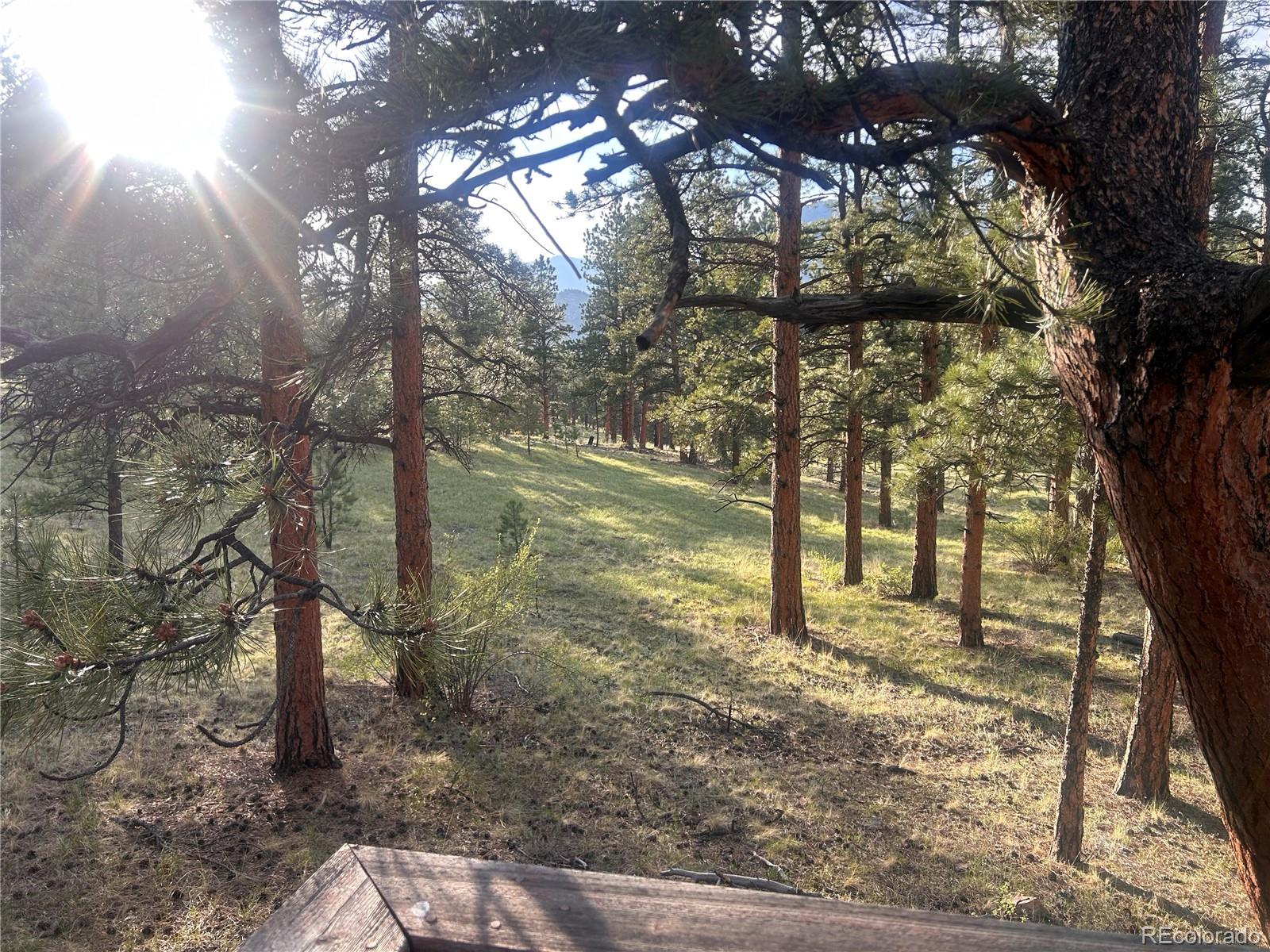 MLS Image #7 for 861  happy top trail,bailey, Colorado