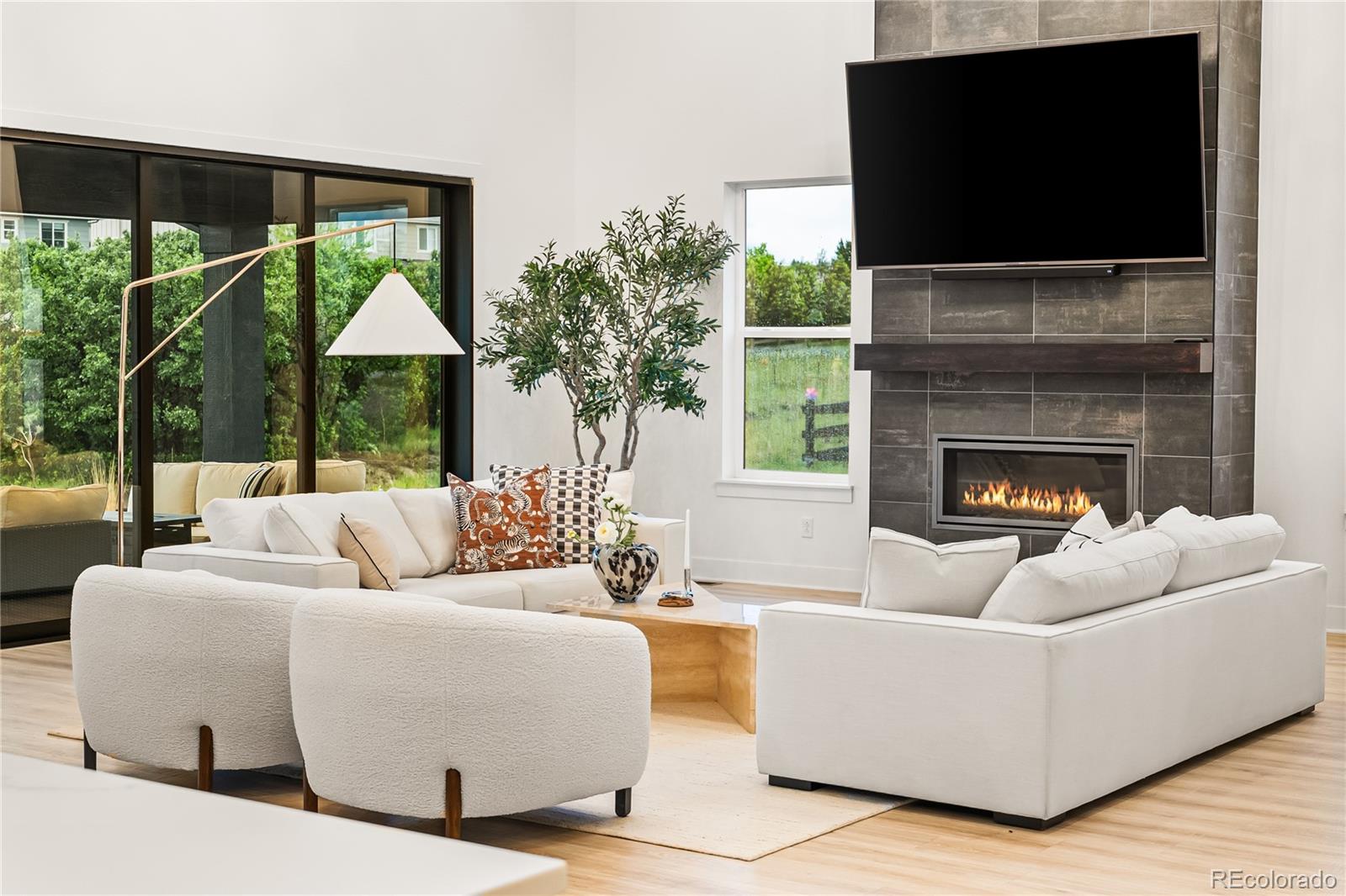 MLS Image #19 for 303  rogers court,castle rock, Colorado
