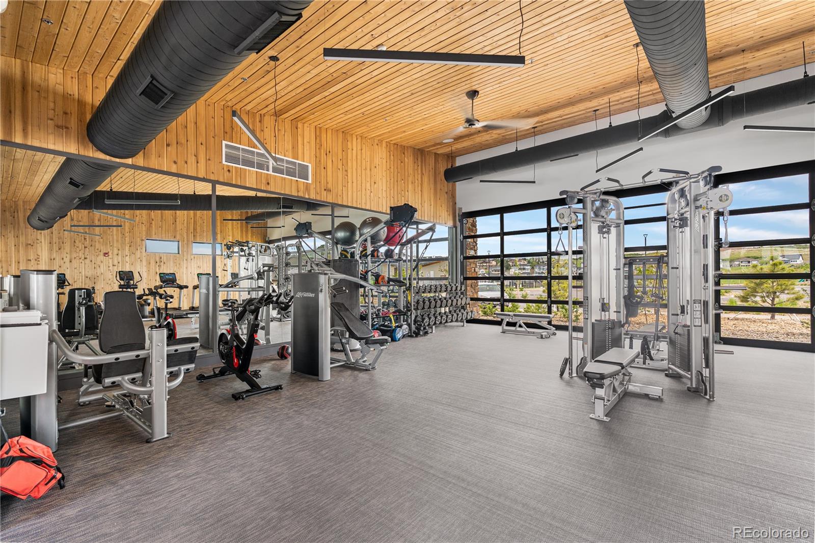 MLS Image #47 for 303  rogers court,castle rock, Colorado