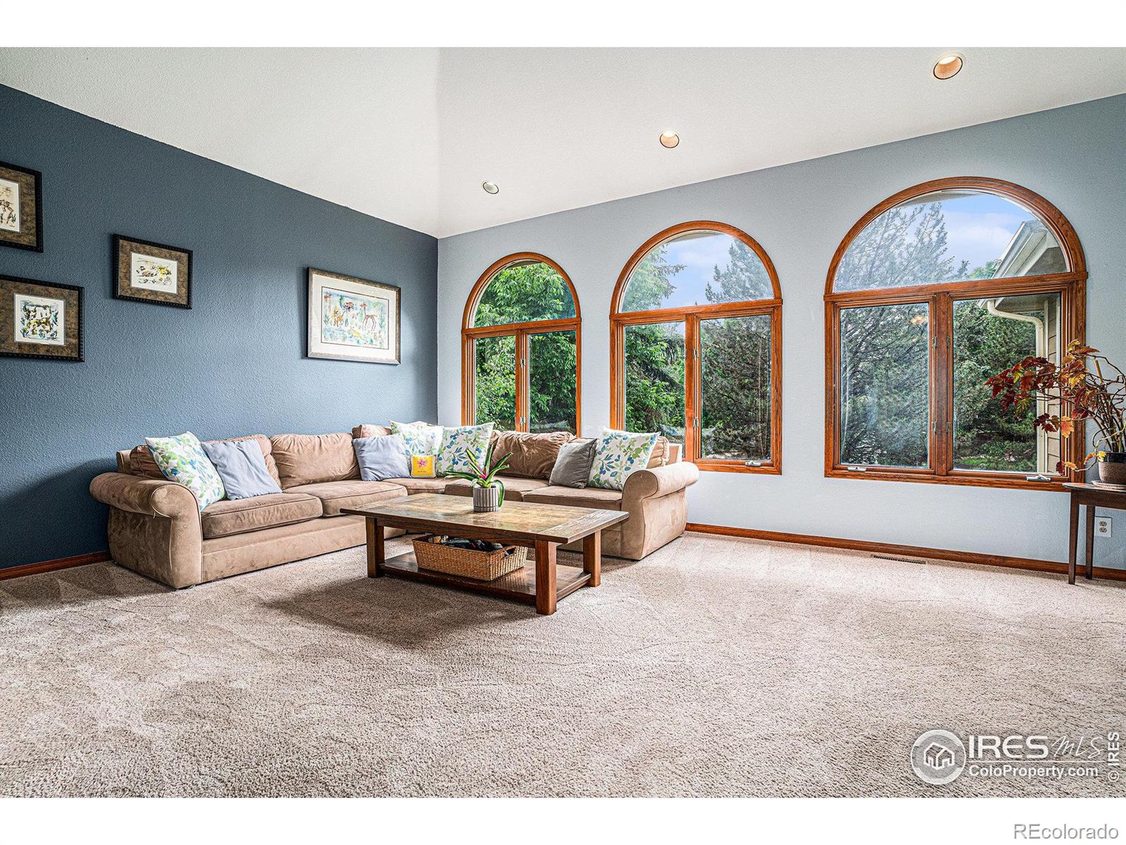 MLS Image #11 for 2901  michener court,fort collins, Colorado