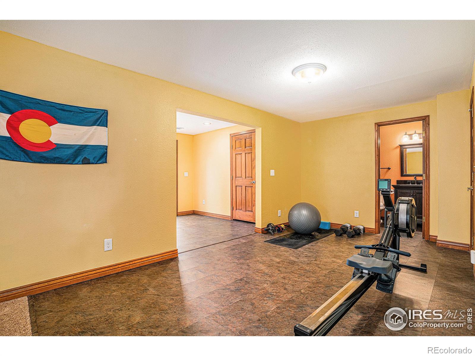 MLS Image #30 for 2901  michener court,fort collins, Colorado