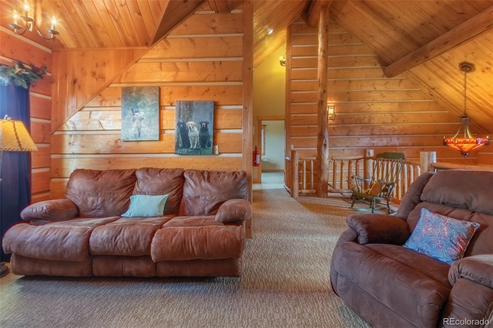 MLS Image #25 for 291  county road 452 ,grand lake, Colorado