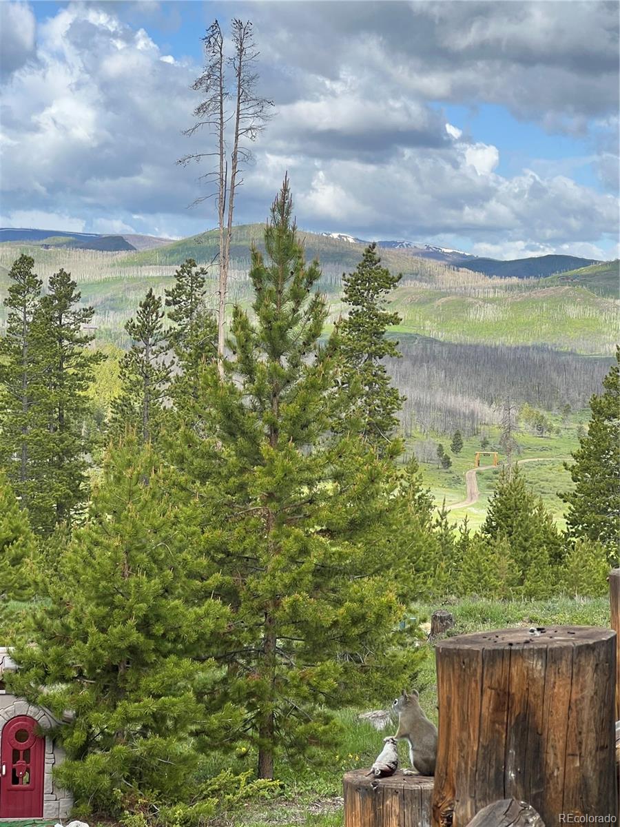 MLS Image #41 for 291  county road 452 ,grand lake, Colorado