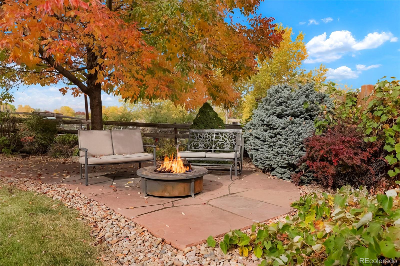MLS Image #2 for 1647  harris court,erie, Colorado