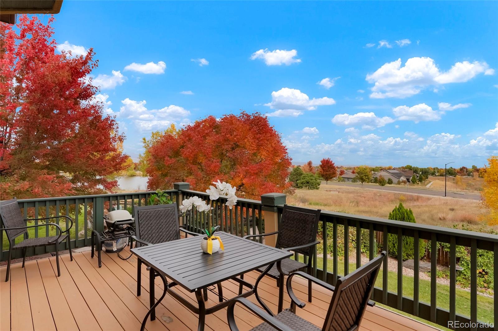 MLS Image #3 for 1647  harris court,erie, Colorado