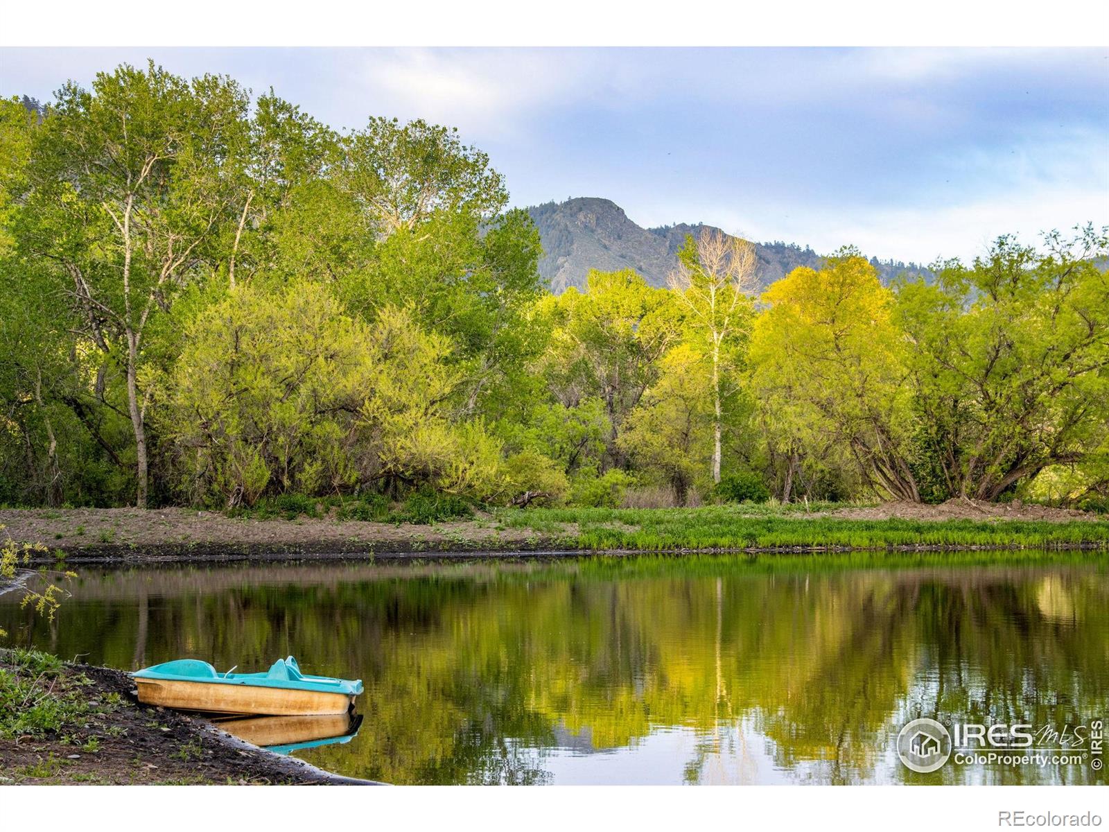 MLS Image #3 for 1268  ohana way,bellvue, Colorado
