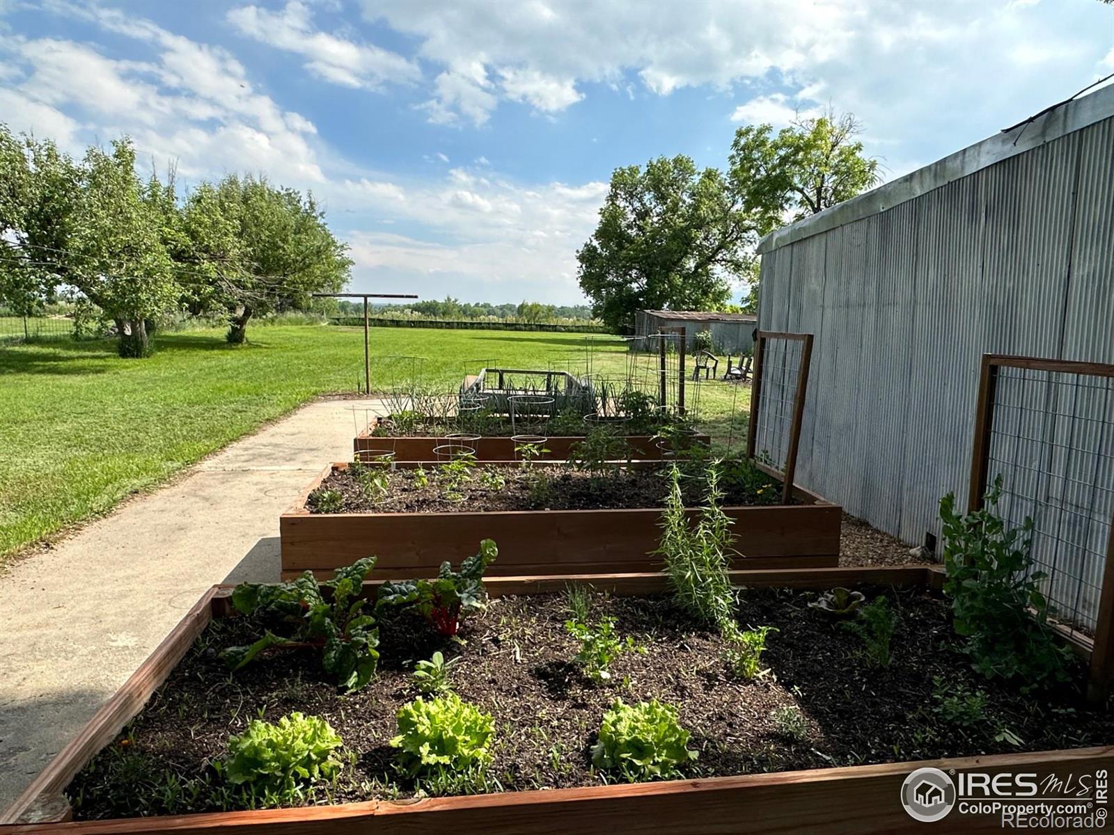 MLS Image #3 for 7800  hygiene road,longmont, Colorado