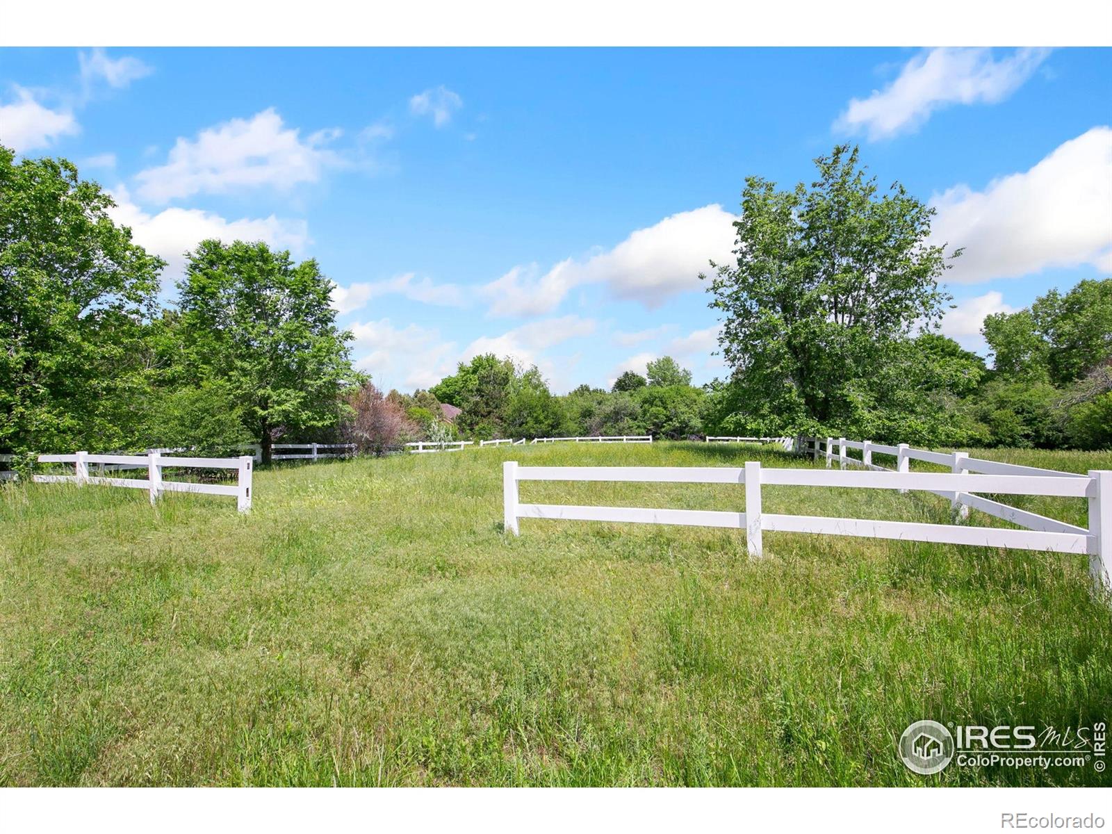 MLS Image #21 for 5220  apple drive,fort collins, Colorado