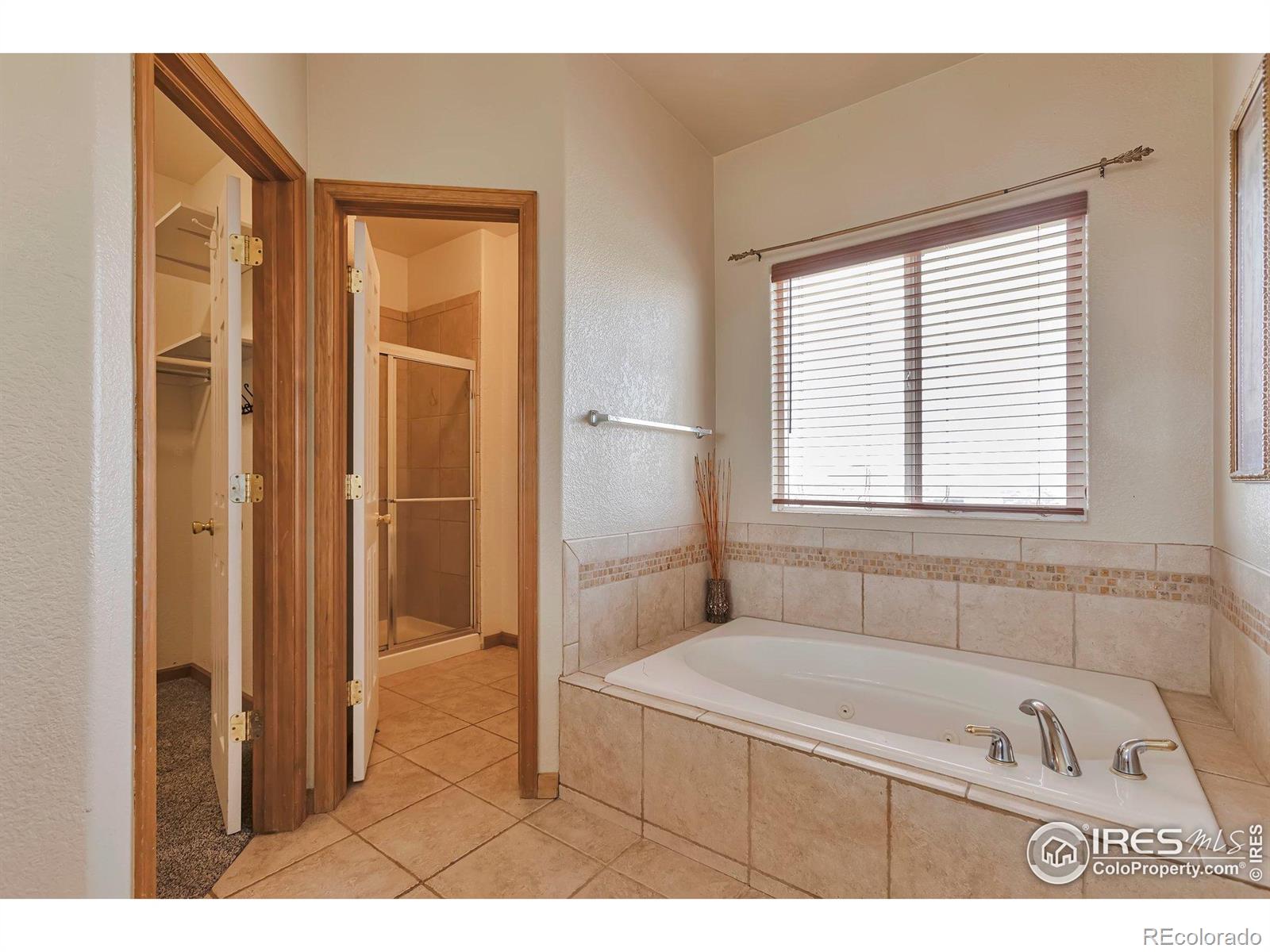 MLS Image #8 for 14825  almstead street,hudson, Colorado