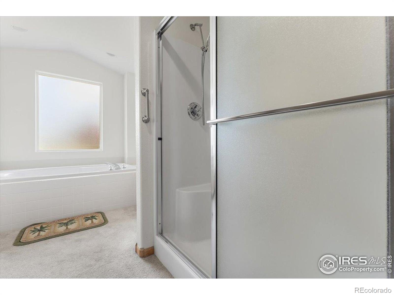 MLS Image #18 for 1365  settlers drive,eaton, Colorado