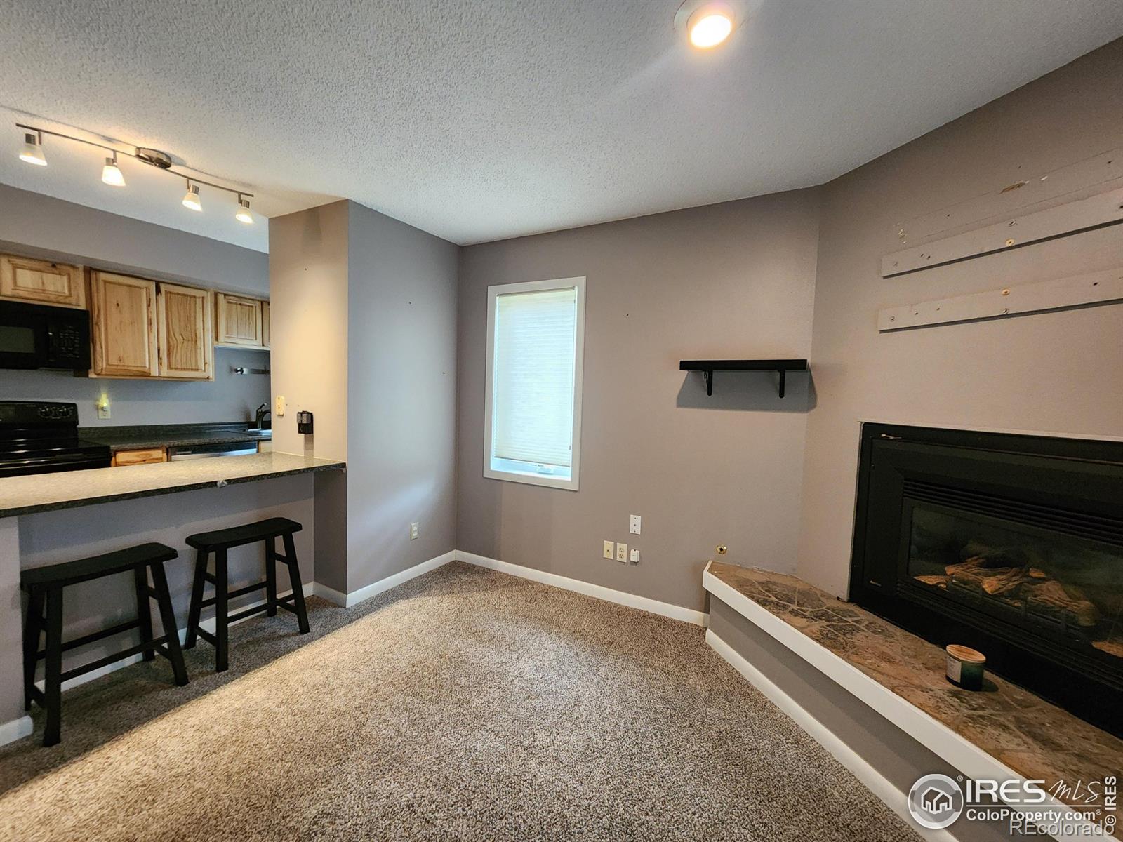MLS Image #4 for 200  riverside drive,estes park, Colorado