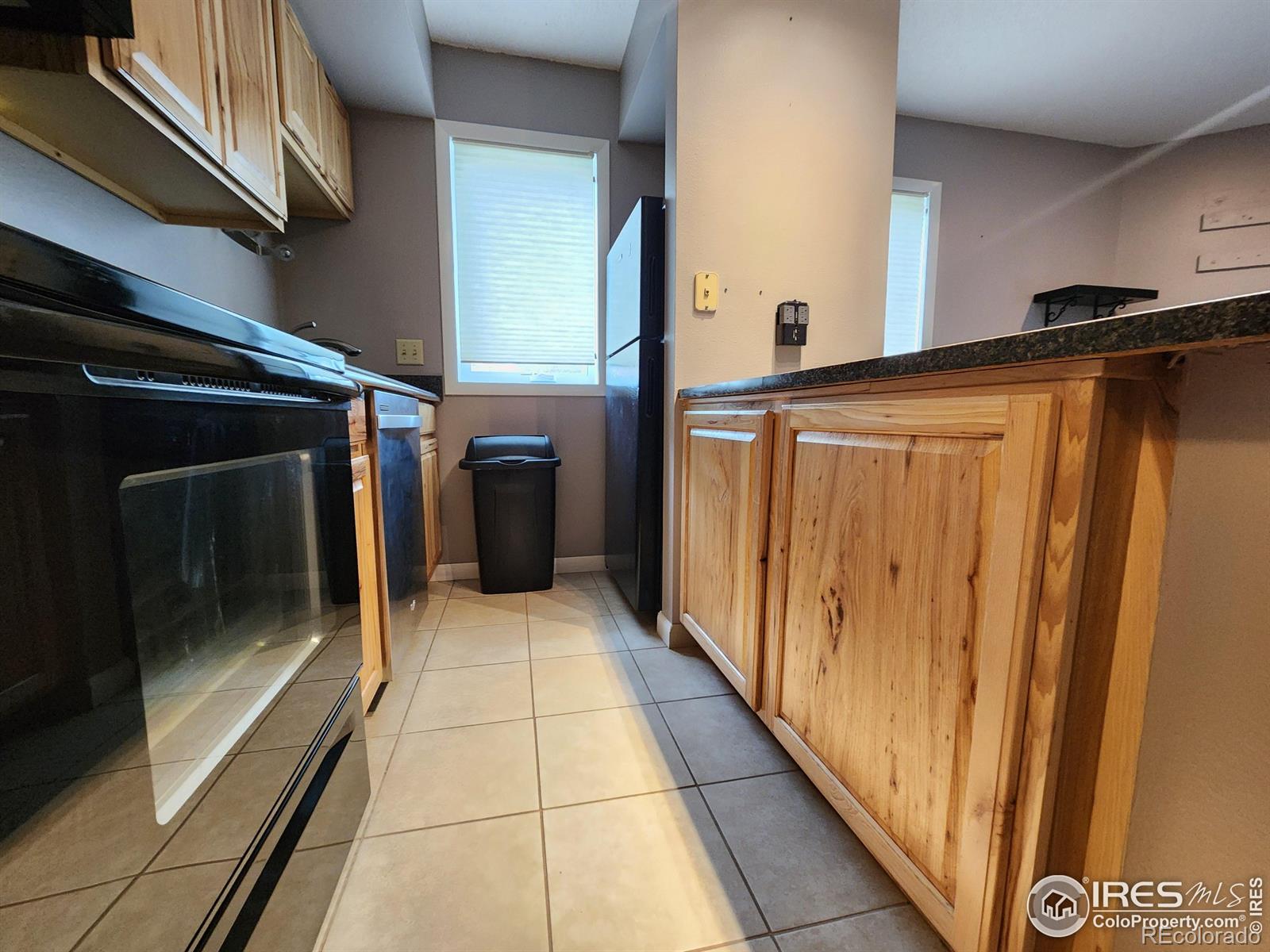 MLS Image #5 for 200  riverside drive,estes park, Colorado