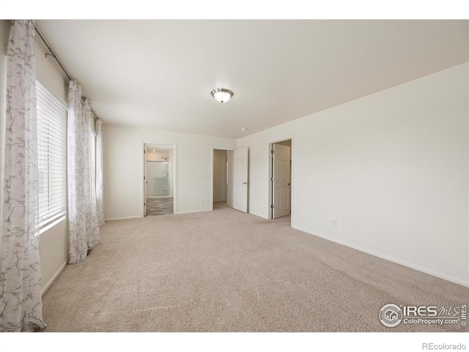 MLS Image #19 for 6793  hayfield street,wellington, Colorado