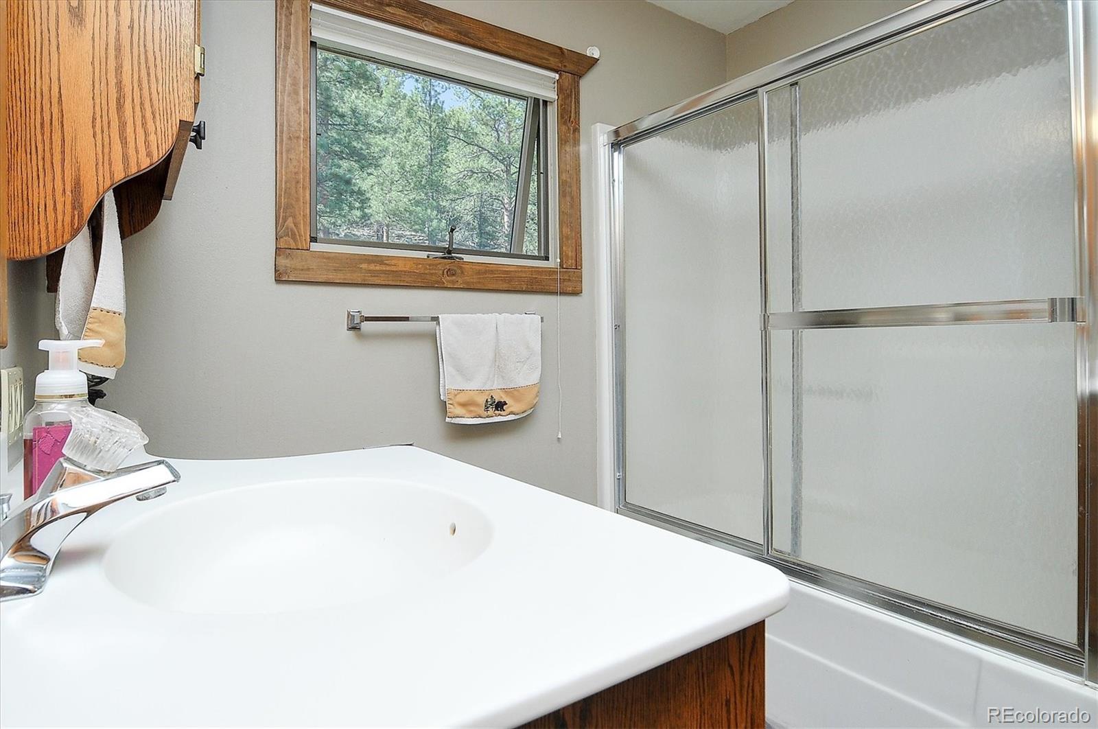 MLS Image #16 for 16050  oppliger drive,nathrop, Colorado