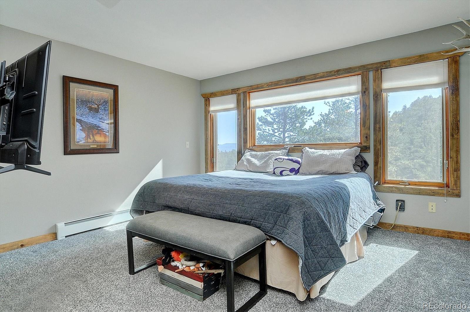 MLS Image #18 for 16050  oppliger drive,nathrop, Colorado