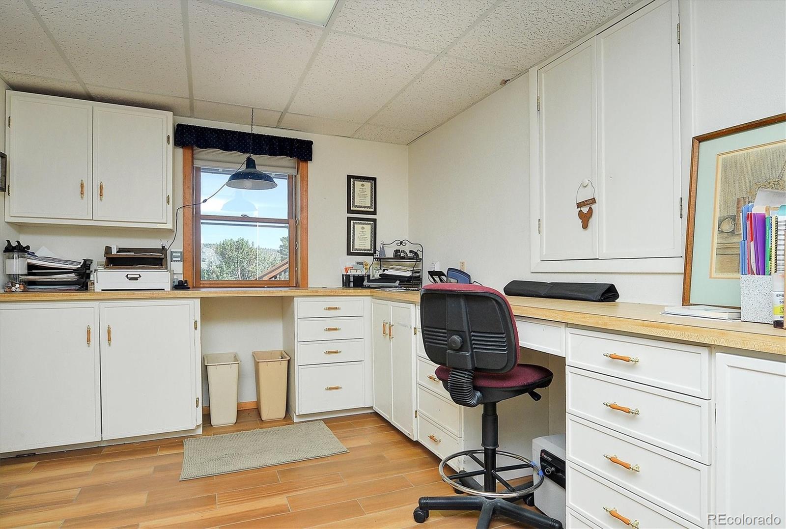 MLS Image #25 for 16050  oppliger drive,nathrop, Colorado