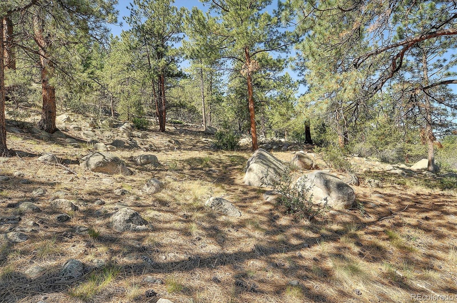 MLS Image #47 for 16050  oppliger drive,nathrop, Colorado
