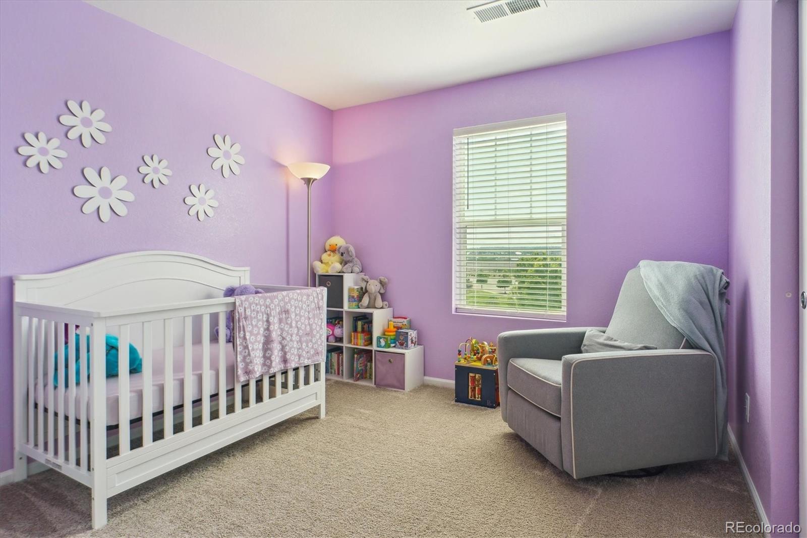 MLS Image #17 for 11330  pacific peak court,parker, Colorado