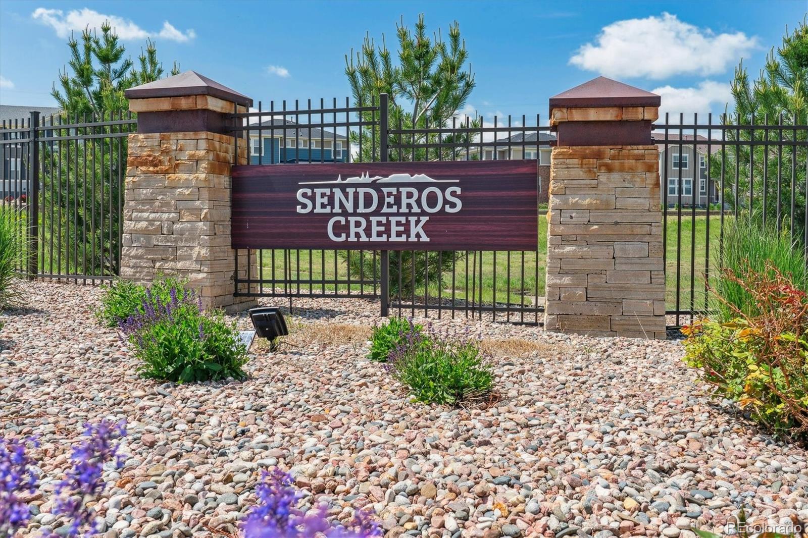 MLS Image #20 for 11330  pacific peak court,parker, Colorado