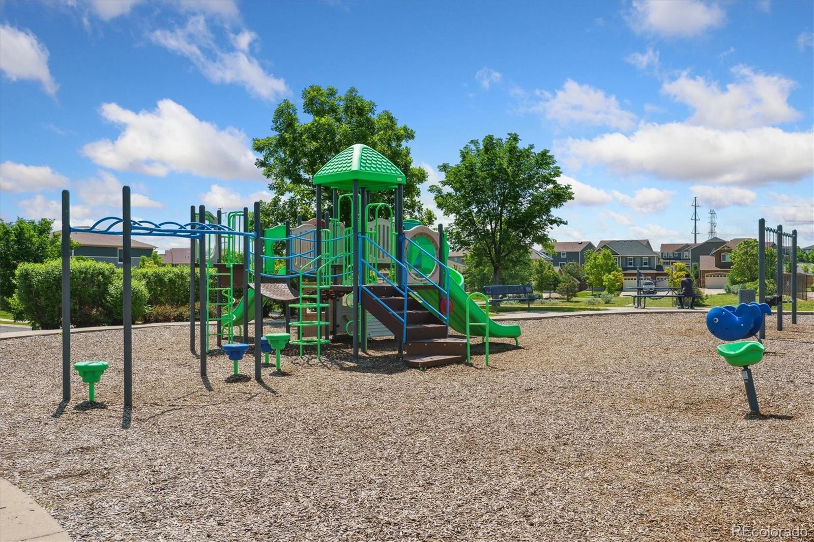 MLS Image #21 for 11330  pacific peak court,parker, Colorado