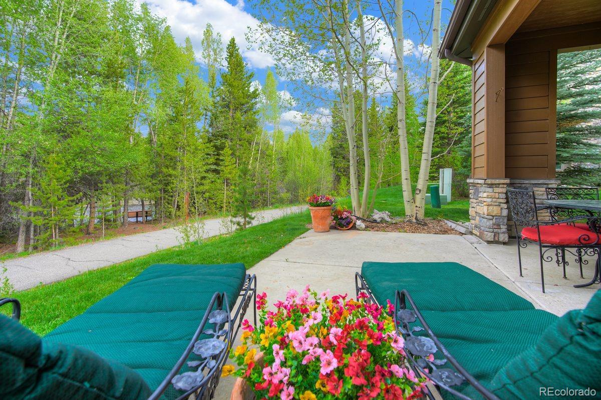 MLS Image #1 for 180  robin drive,silverthorne, Colorado