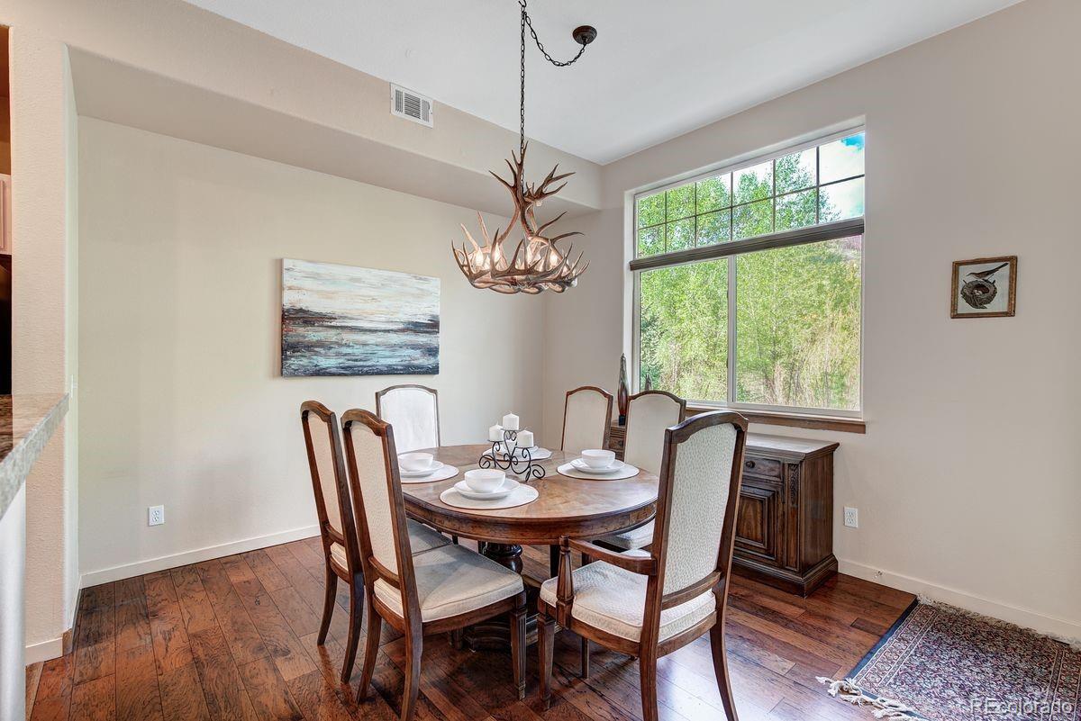 MLS Image #11 for 180  robin drive,silverthorne, Colorado