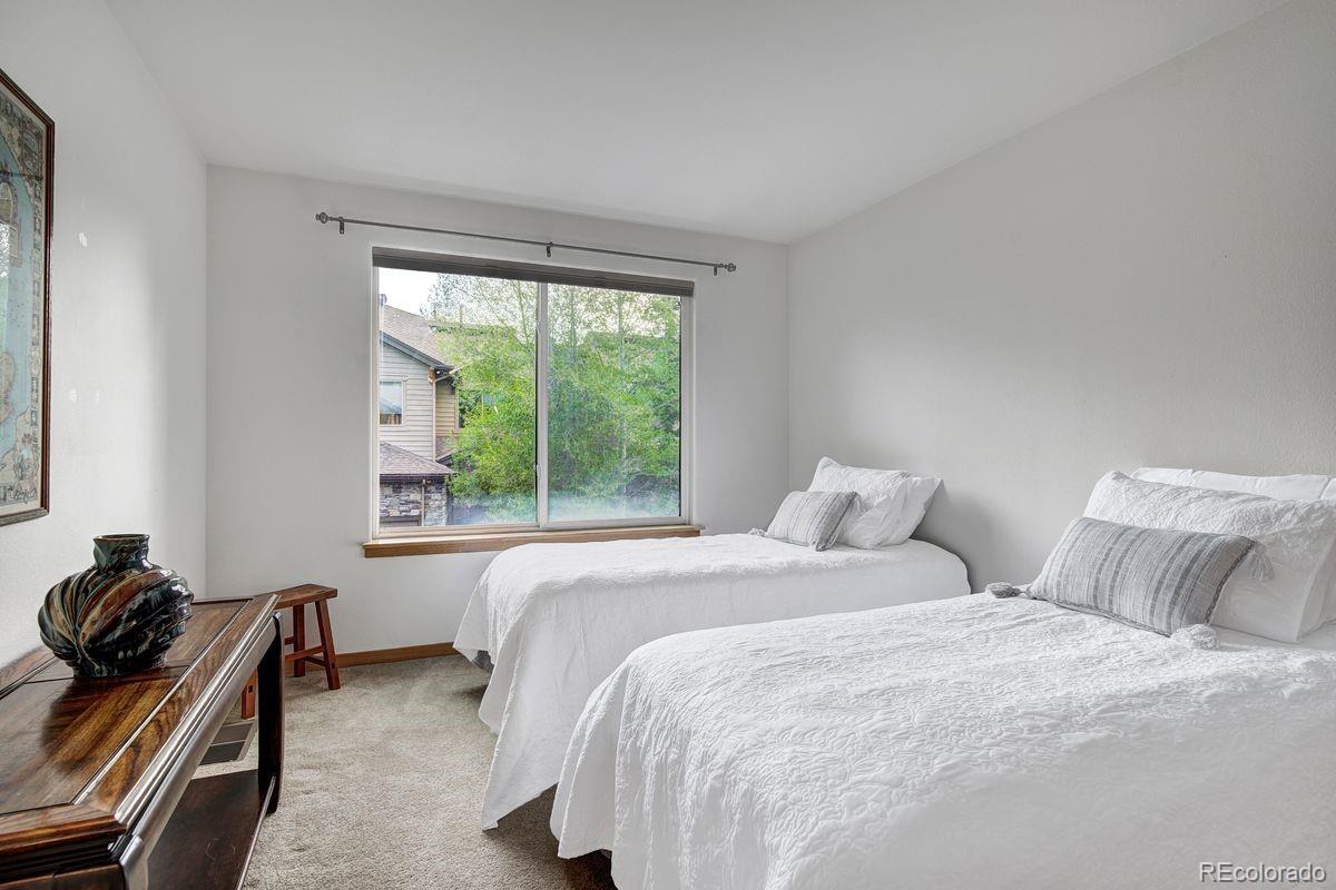 MLS Image #24 for 180  robin drive,silverthorne, Colorado