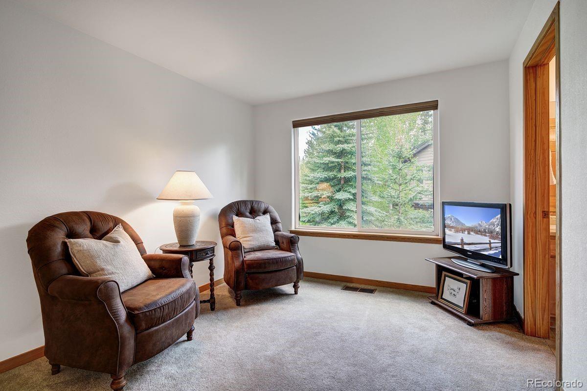 MLS Image #26 for 180  robin drive,silverthorne, Colorado