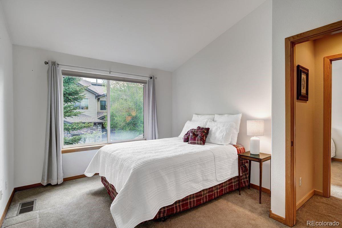 MLS Image #28 for 180  robin drive,silverthorne, Colorado