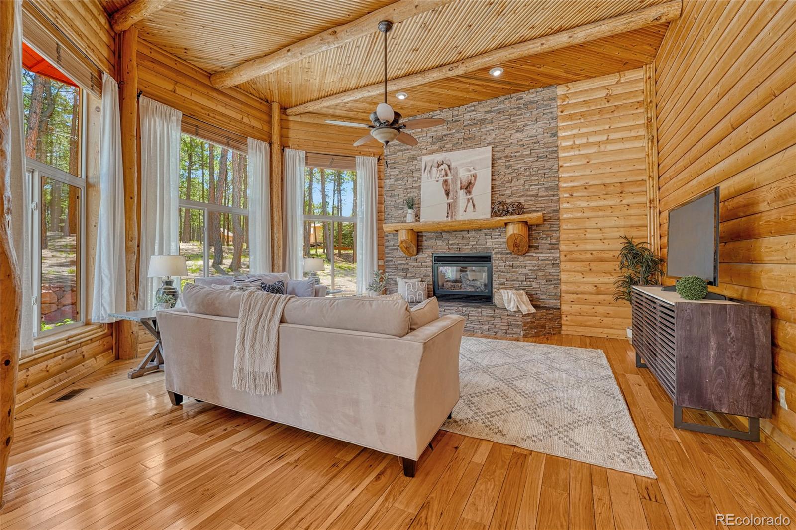 MLS Image #17 for 15975  winding trail road,colorado springs, Colorado