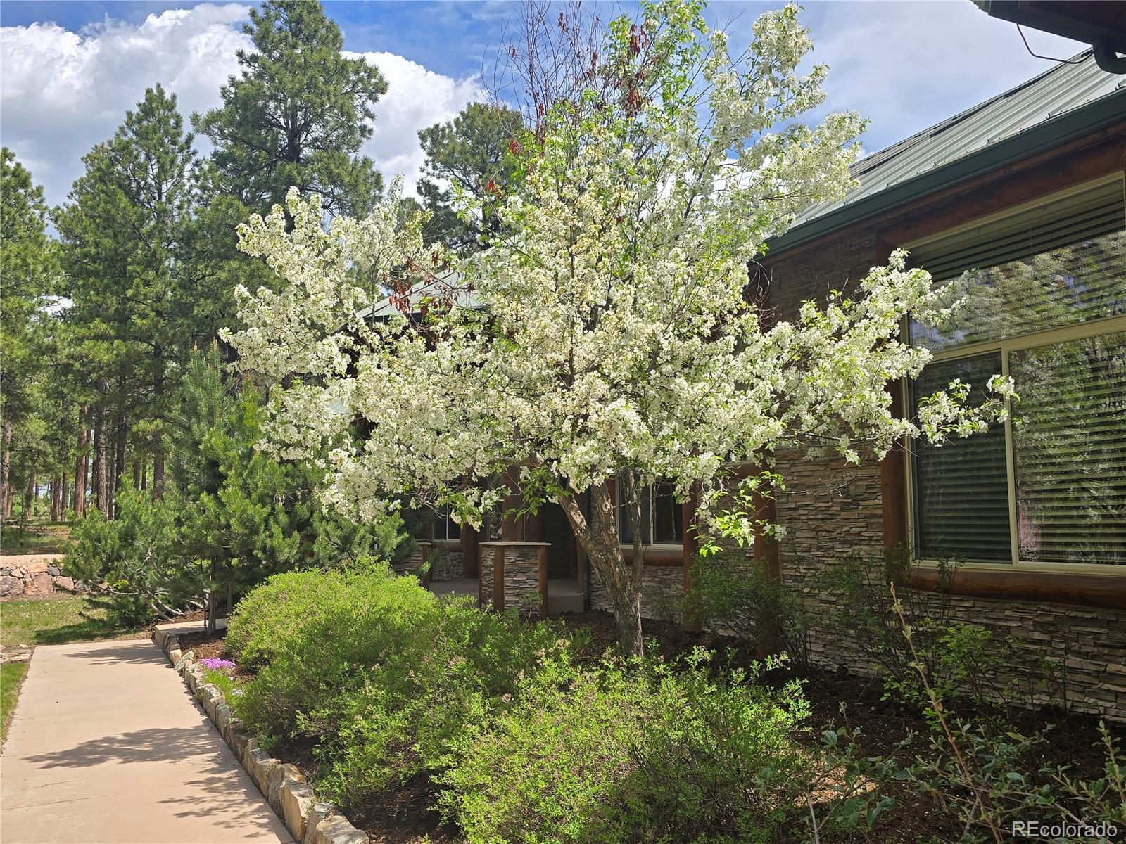 MLS Image #46 for 15975  winding trail road,colorado springs, Colorado