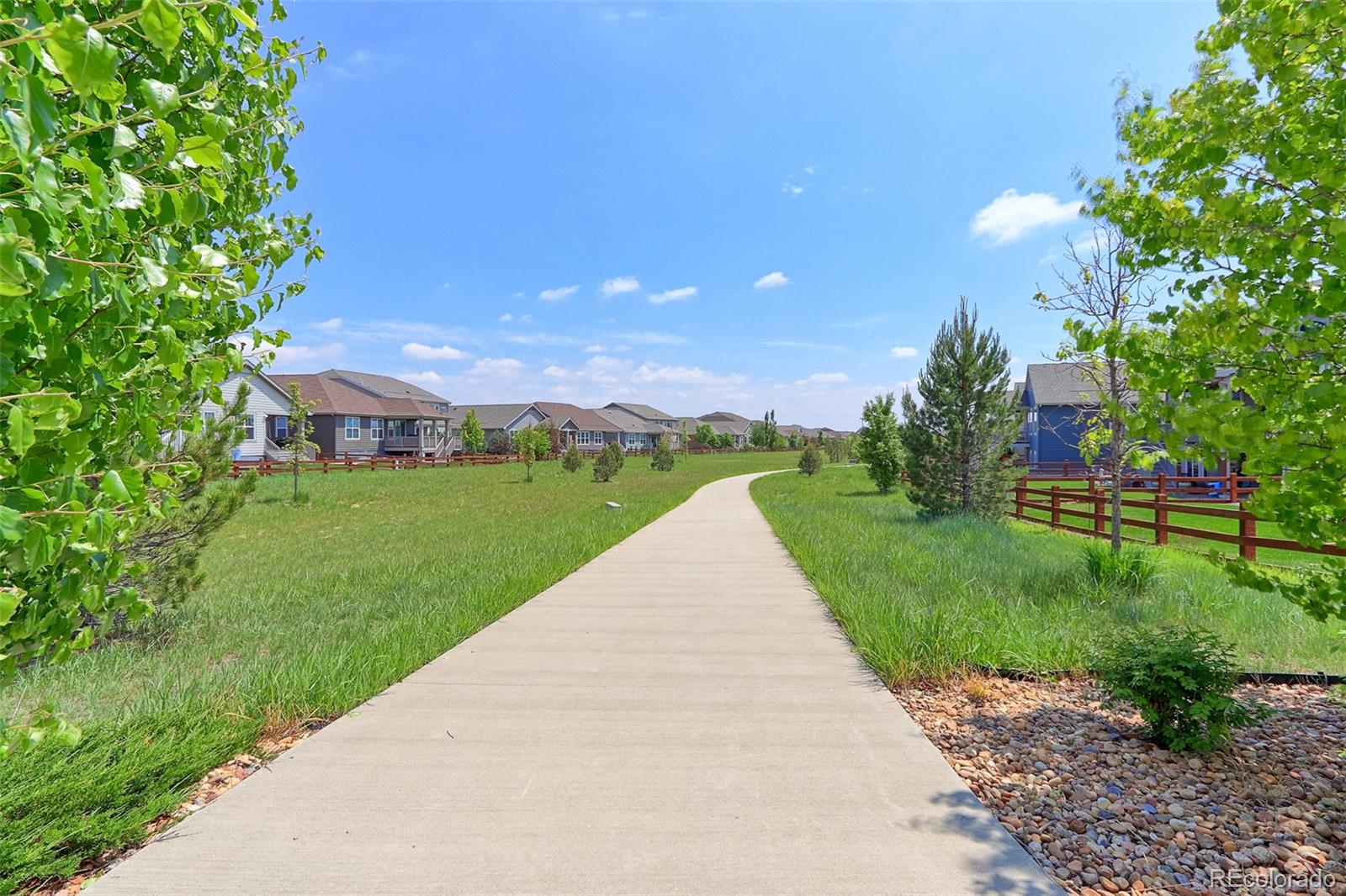 MLS Image #40 for 2474  ravenswood court,longmont, Colorado