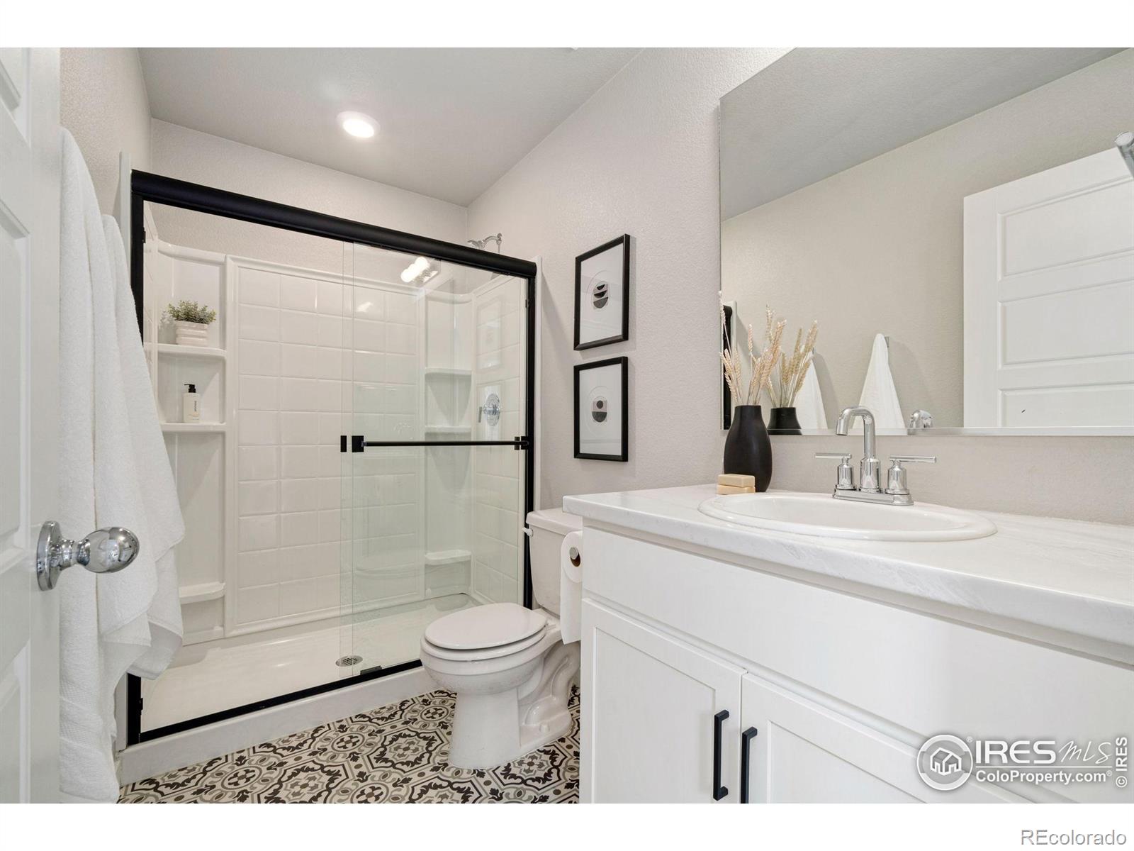 MLS Image #4 for 259  molinar street,johnstown, Colorado
