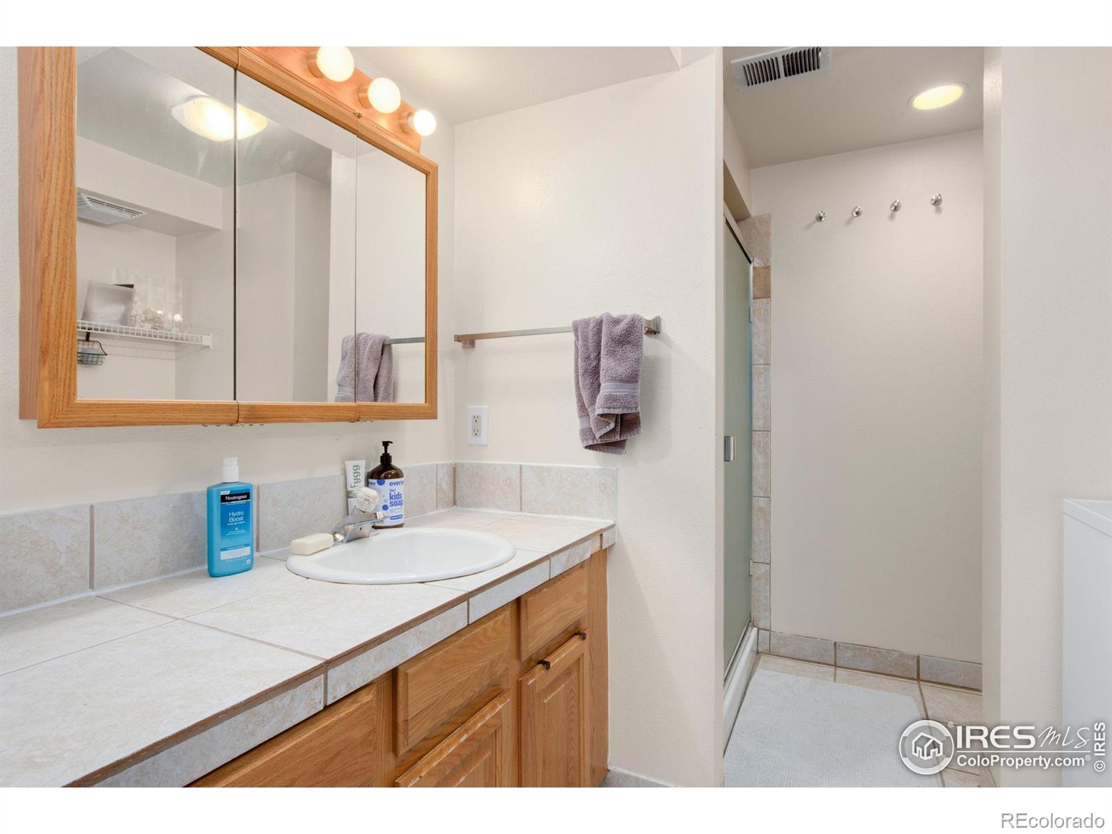 MLS Image #14 for 3025  regatta lane,fort collins, Colorado