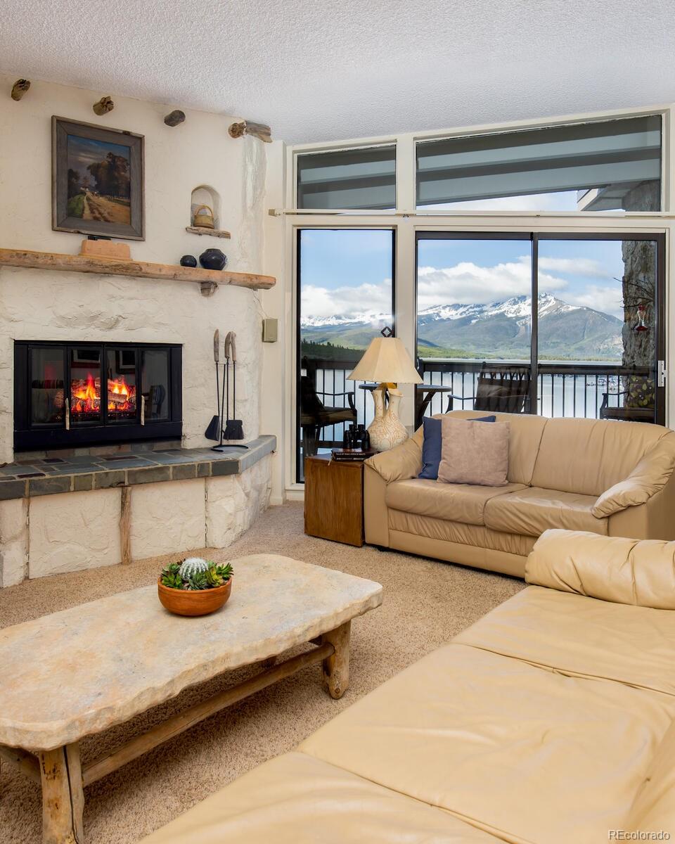 MLS Image #7 for 576  tenderfoot ,dillon, Colorado