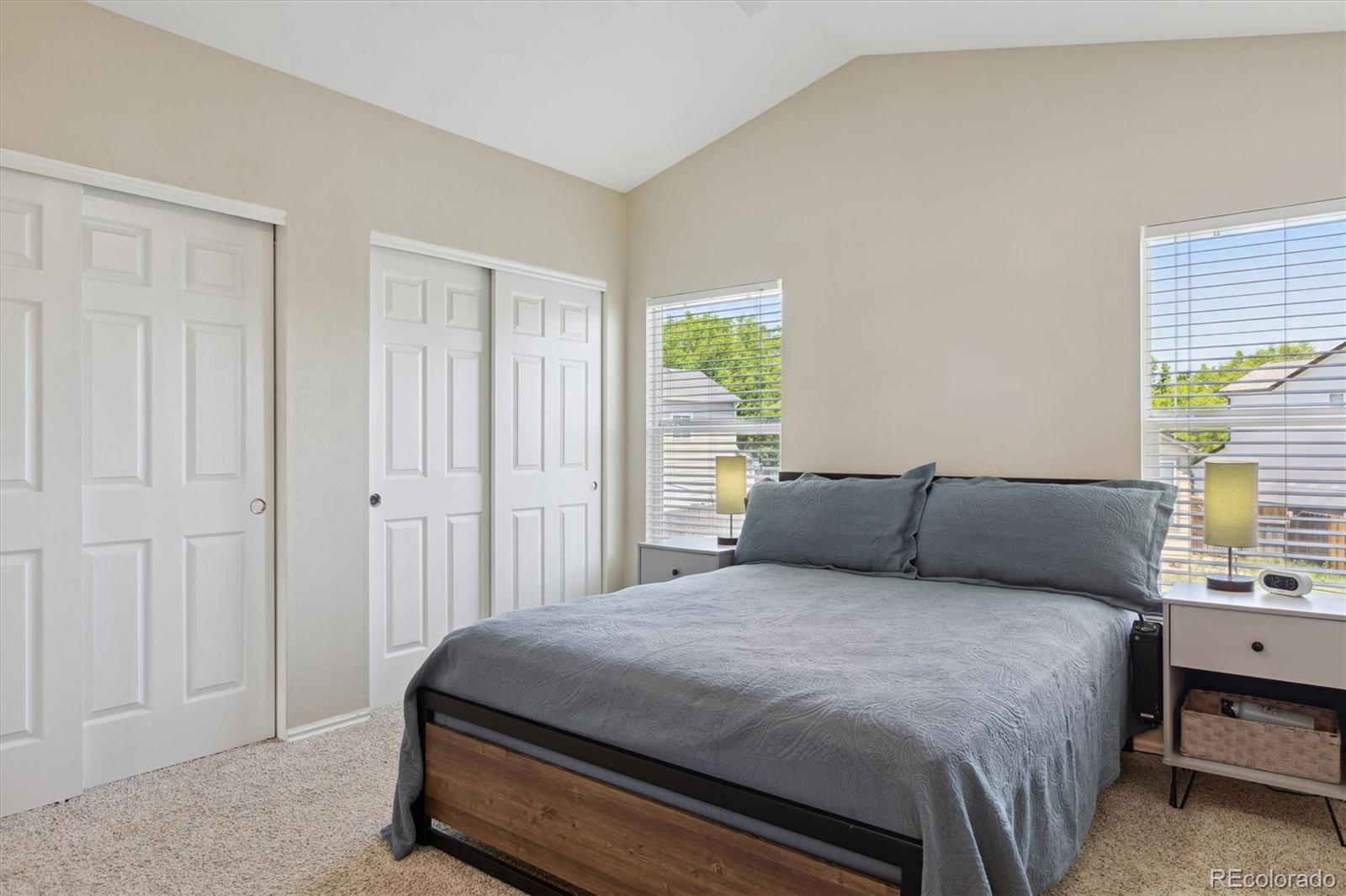 MLS Image #20 for 16581  buckthorn lane,parker, Colorado
