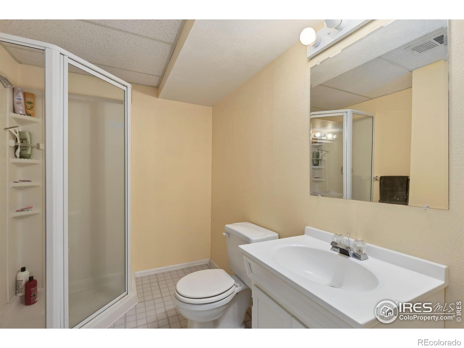 MLS Image #17 for 526  badger creek drive,brighton, Colorado