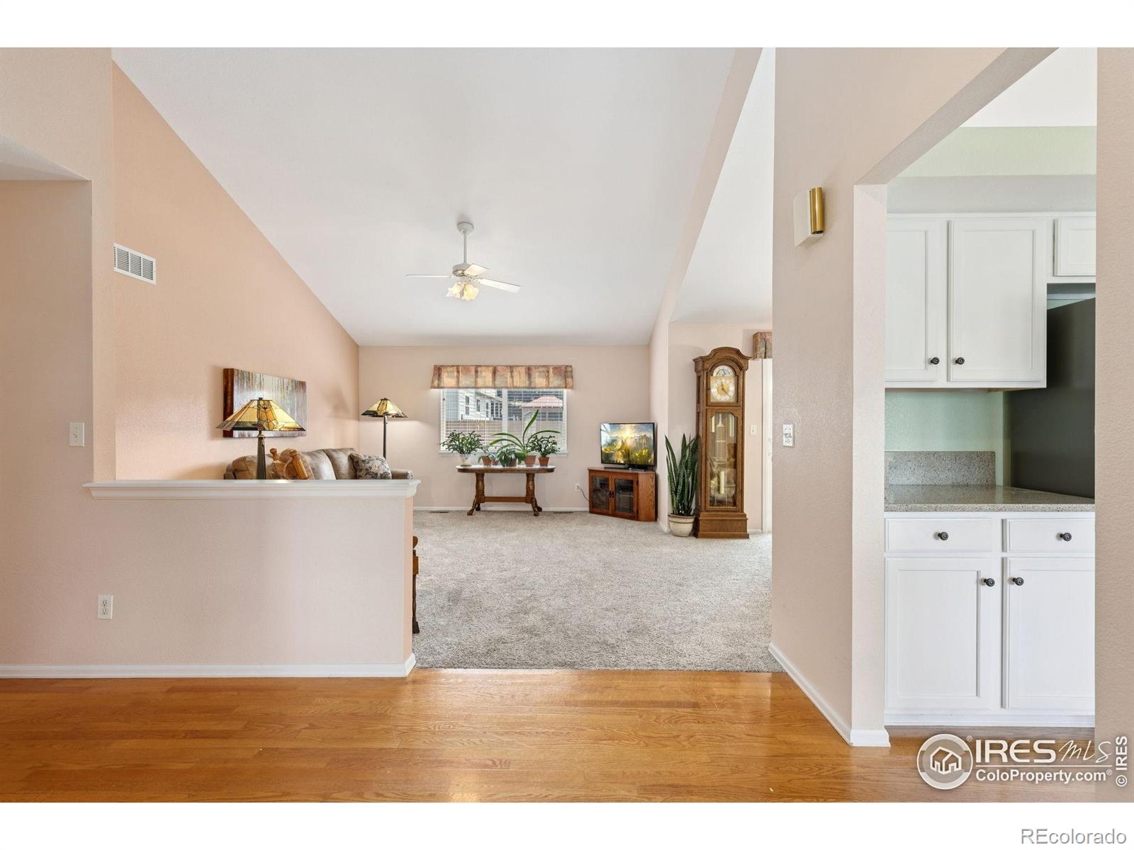 MLS Image #4 for 526  badger creek drive,brighton, Colorado