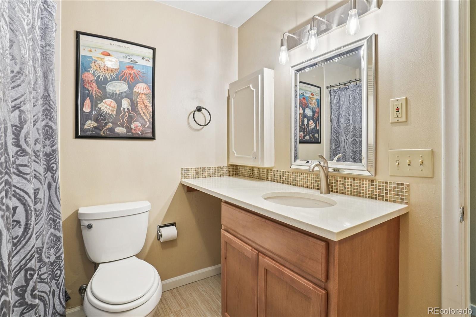MLS Image #28 for 1213 s taft hill road,fort collins, Colorado
