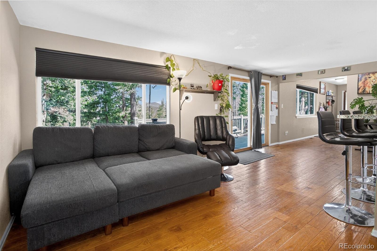 MLS Image #15 for 8340  london lane,conifer, Colorado