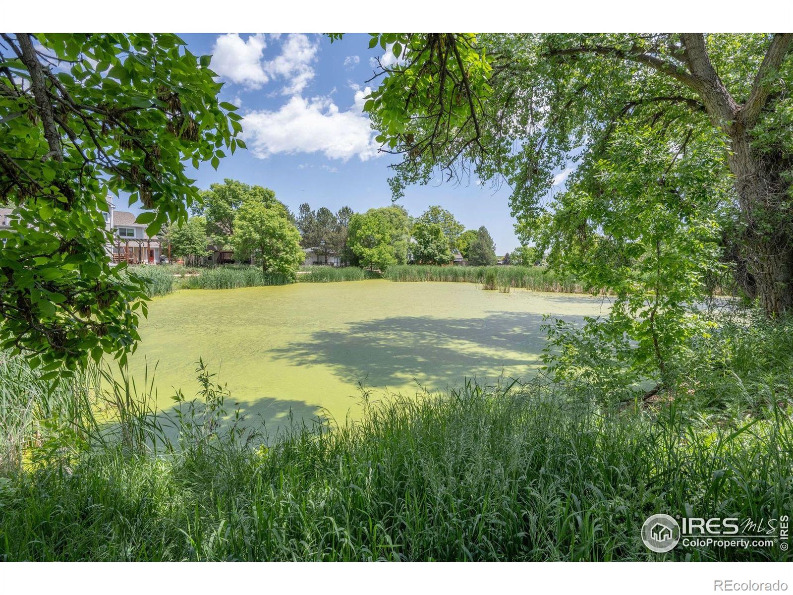 MLS Image #14 for 6505  kalua road,boulder, Colorado