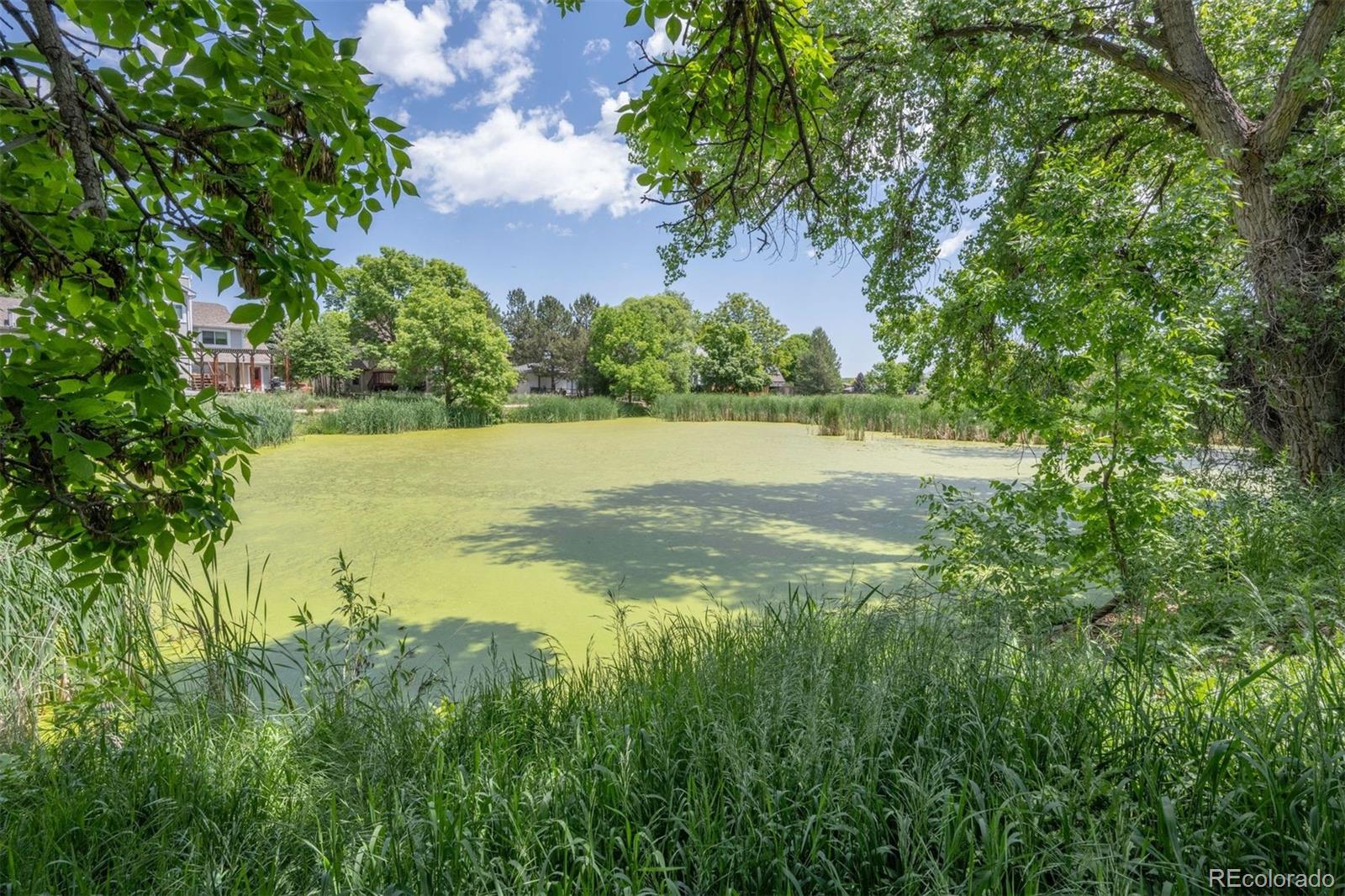 MLS Image #15 for 6505  kalua road,boulder, Colorado