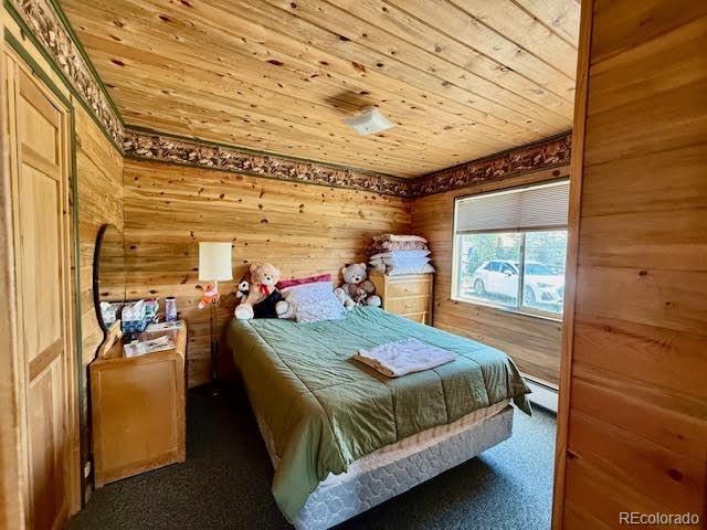 MLS Image #25 for 25  aspen drive,walden, Colorado