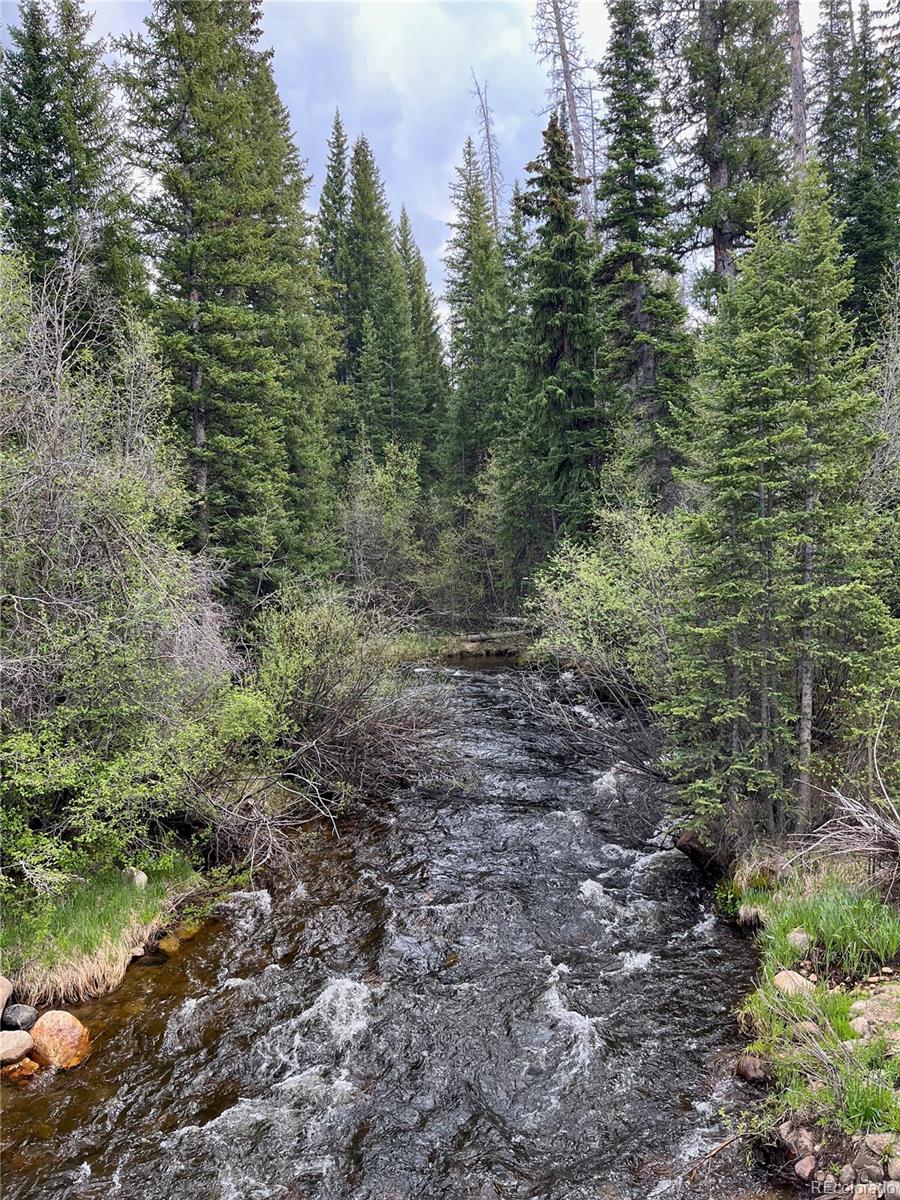 MLS Image #6 for 25  aspen drive,walden, Colorado