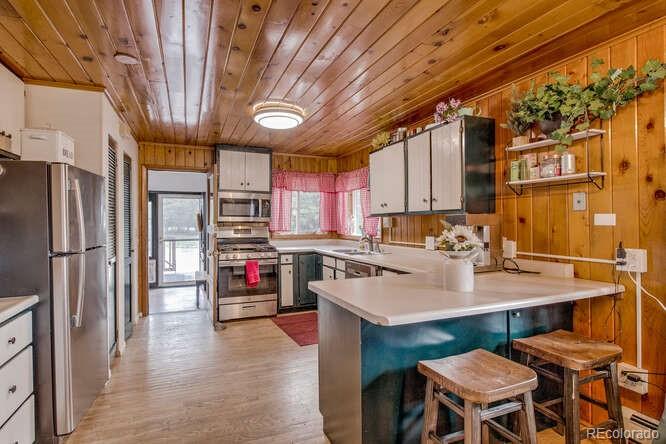 MLS Image #11 for 3002  highway 91 ,leadville, Colorado